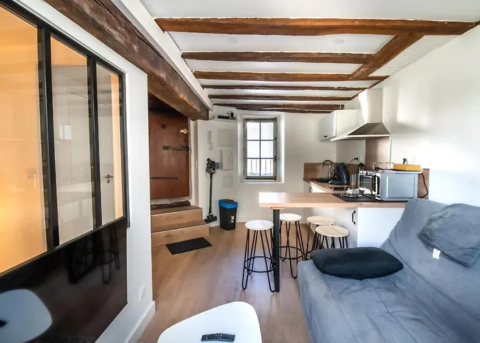 L'arbre Aux Herons 公寓 南特